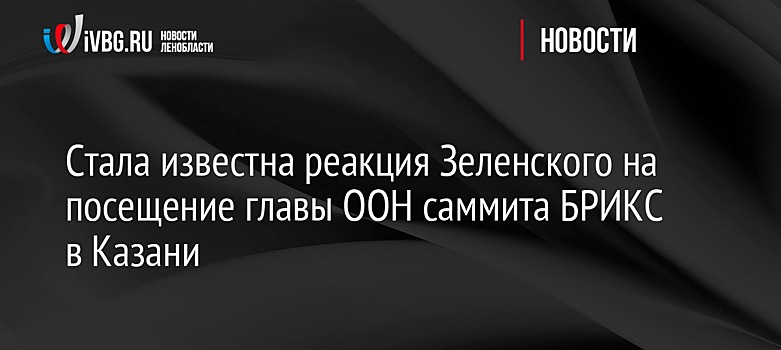 Стала известна реакция Зеленского на посещение главы ООН саммита БРИКС в Казани