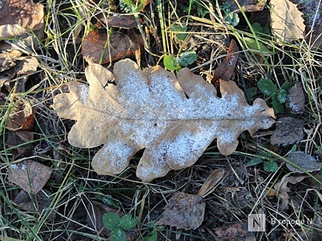 Тепло и снег: прогноз погоды в Новосибирске на 27 октября