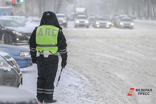 В Екатеринбурге 10 октября выпал первый снег