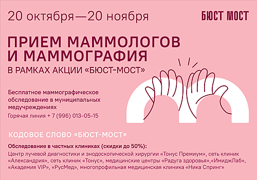 В этом году проект «Бюст-мост через Волгу: против рака груди» пройдет с 20 октября по 20 ноября