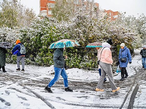 В Москве на следующей неделе ожидаются мокрый снег и ливни