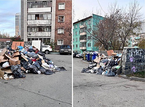 В Новосибирске прокуратура указала МУП «САХ» на переполненные мусорные баки