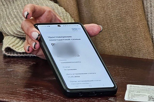 В Новосибирской области ввели цифровые удостоверения для многодетных семей