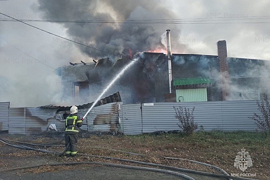 В Новосибирской области за неделю произошло 99 пожаров