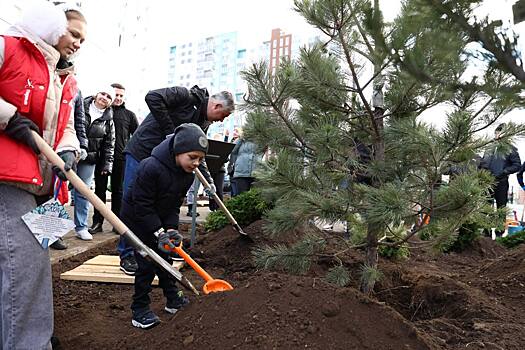 В Ростове в Дне древонасаждения приняли участие почти 7000 человек