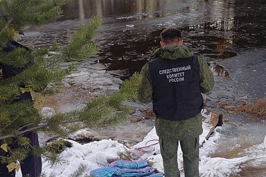 В Свердловской области завели дело об убийстве ребенка