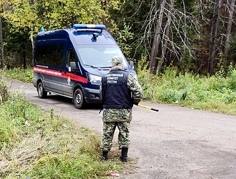 В Удмуртии пытавшегося зарезать таксиста мужчину посадили на 6,6 лет