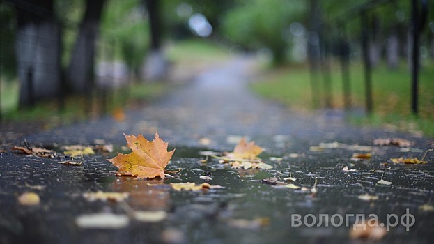 В выходные в Вологде будет облачно