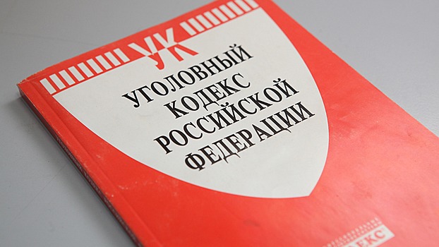 За исполнение роли подставного директора фирмы житель Благовещенска предстанет перед судом