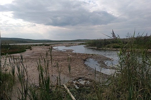 Жители Екатеринбурга одобрили план по очистке озера Здохня