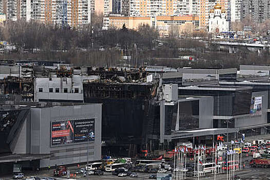 Жителя Ивановской области осудили за оправдание теракта в "Крокус Сити Холле"