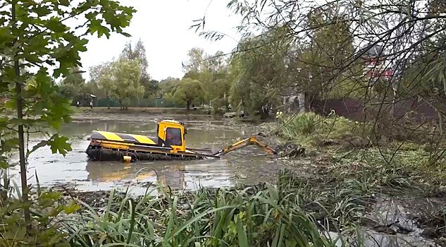 Жителям Пушкинского предложили выбрать водоем для санитарной очистки