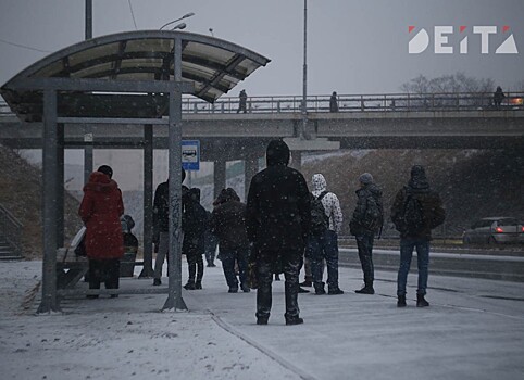 Будет хуже: автобусная проблема во Владивостоке ведёт к социальному взрыву