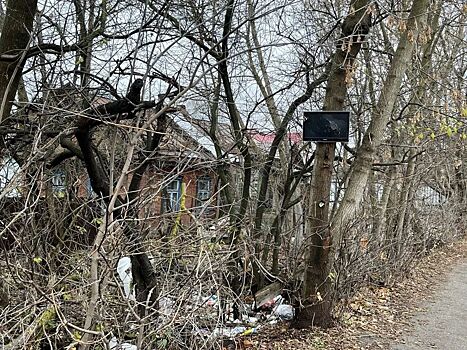 Домовладельцев накажут рублем за телевизор на дереве