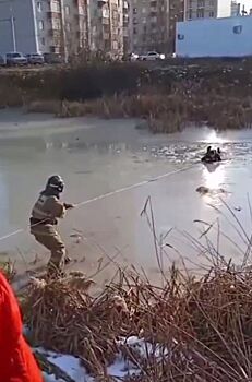 Два подростка провалились под лёд в Ижевске