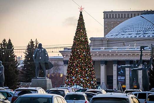 Главную новогоднюю ель в Новосибирске установят до 1 декабря