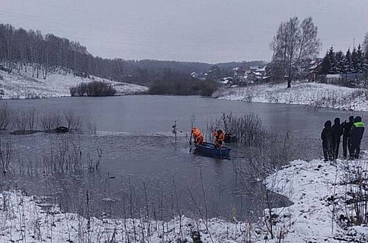 Кемеровские спасатели с огромным трудом поймали лебедя