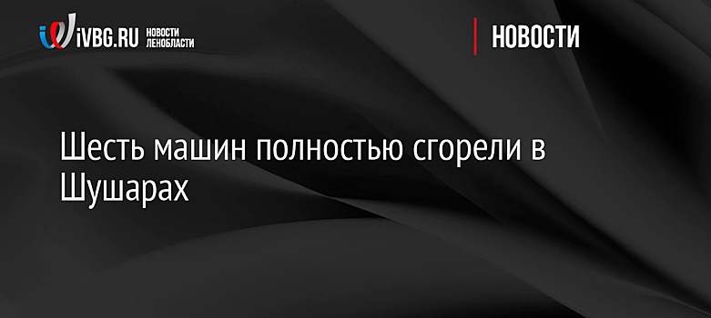 МЧС: на улице в Шушарах ночью сгорело шесть автомобилей