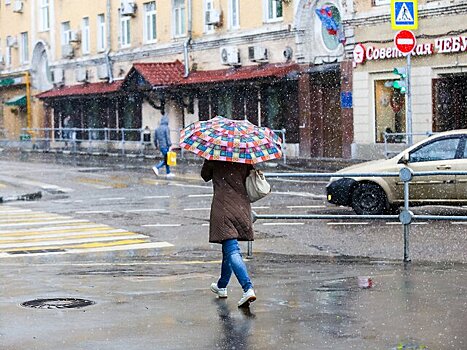 Мокрый снег с дождем прогнозируется в Москве 19 ноября