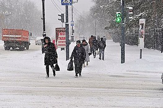 Мокрый снег выпадет в Хабаровске на выходных