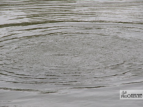 МУП Бузулука обязали хорошо очищать сточные воды в реку Самара