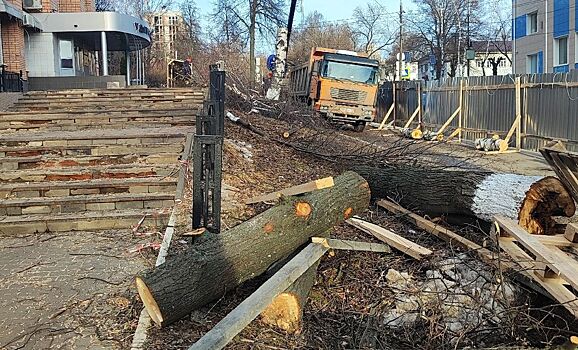 На улице Свободы в Ижевске вырубили старые деревья