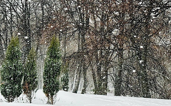 На востоке Рязанской области 3 ноября ветер грозит оборвать провода