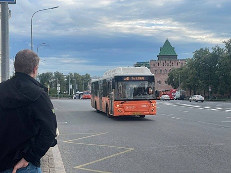 Названы маршруты, где больше всего «зайцев» в Нижнем Новгороде