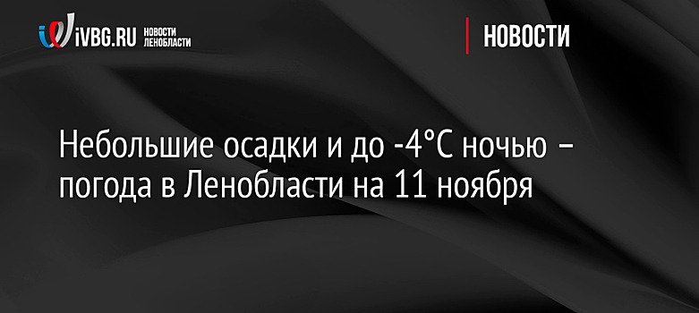 Небольшие осадки и до -4°C ночью – погода в Ленобласти на 11 ноября