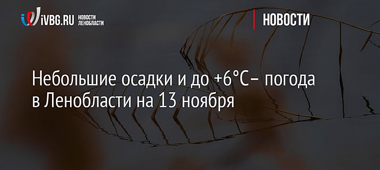 Небольшие осадки и до +6°C– погода в Ленобласти на 13 ноября