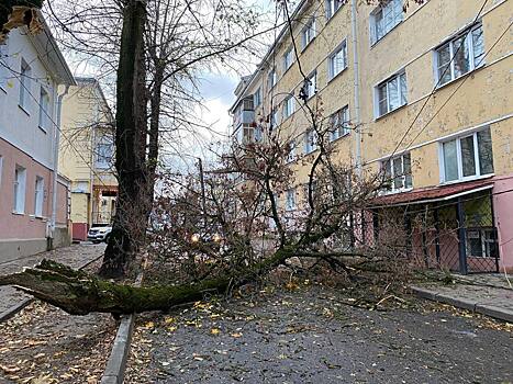 Непогода обесточила несколько населенных пунктов Калужской области