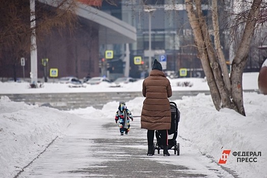 Нижегородский бухгалтер украла 3 млн рублей благодаря полицейским в декрете