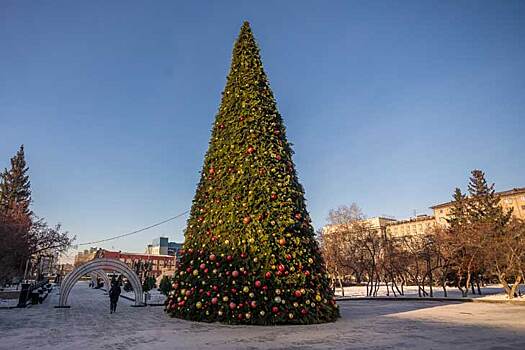 Пять новогодних ёлок установят в Нижнем Новгороде в 2024 году