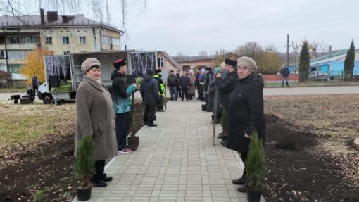 Под Орлом на братской могиле советских воинов посадили туи0