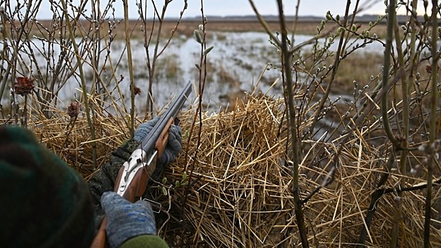 Охотник застрелил агрессивного незнакомца в маске с ножом под Петербургом