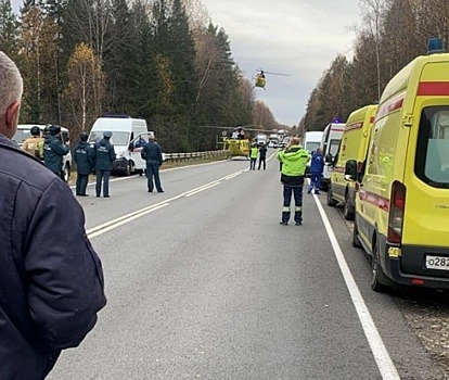 Пострадавших при жесткой посадке вертолета в нижегородском лесу выписали из больницы