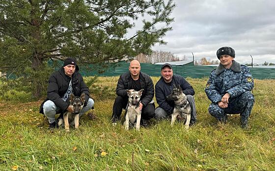 Рязанское УФСИН пополнили племенные щенки Вагнер и Ведьма из Перми