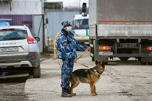 «Руководство просто расслабилось» Заключенные бегут из российских колоний. Кто в этом виноват и как остановить побеги?