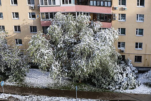 Сегодня в Подмосковье ожидается снег и гололедица