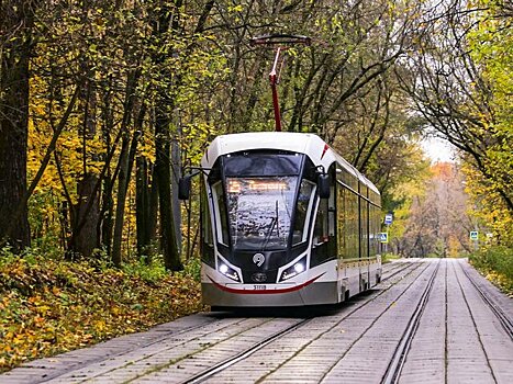 Синоптик Позднякова рассказала о ветреной погоде в Москве 9 ноября