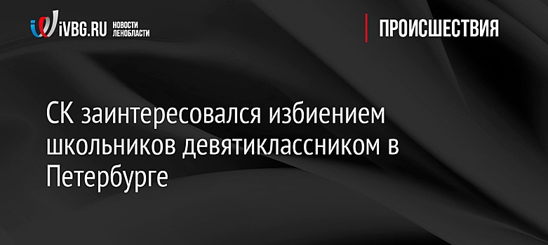 СК заинтересовался избиением школьников девятиклассником в Петербурге