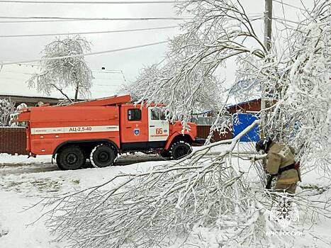 Снегопад обрушил деревья на машины в российском городе