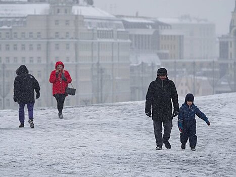 Снежный покров в московском регионе может вырасти до 19 см к утру воскресенья