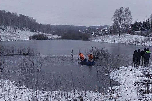 Специалисты попытались спасти отбившегося от стаи лебедя в Кемерове