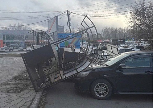 Упавшие деревья и сорванные крыши: власти Новосибирска устраняют последствия шторма