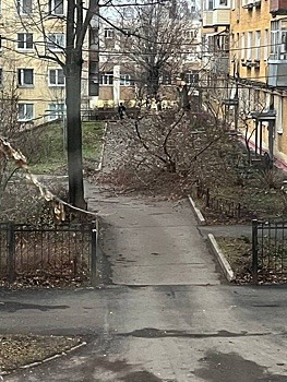 Ураганный ветер обрушился на Саров в Нижегородской области