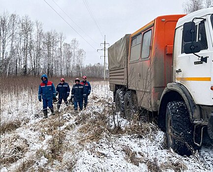 Ветер оставил без света 11 районов Новосибирской области