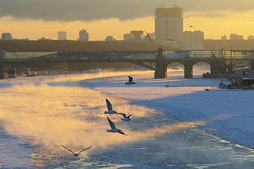 Вильфанд: морозы до -9°C начнутся в Москве с 25 ноября