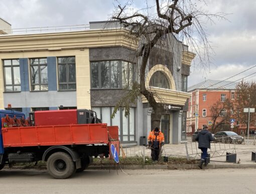 В администрации Орла рассказали, зачем срезают заборчики0