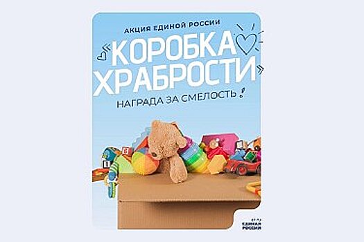 В Хабаровске «Единая Россия» запустила акцию «Коробка храбрости»